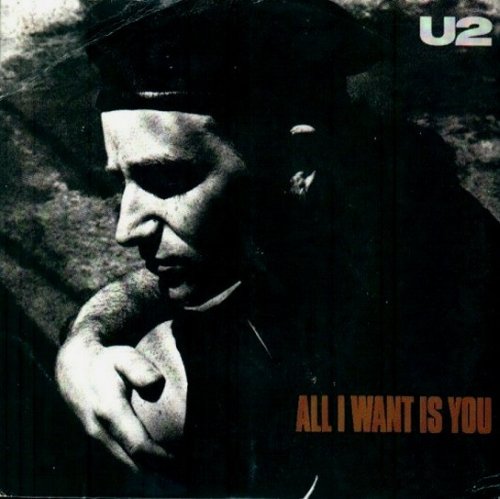 Cover: All I Want Is You